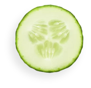 Cucumber Slice