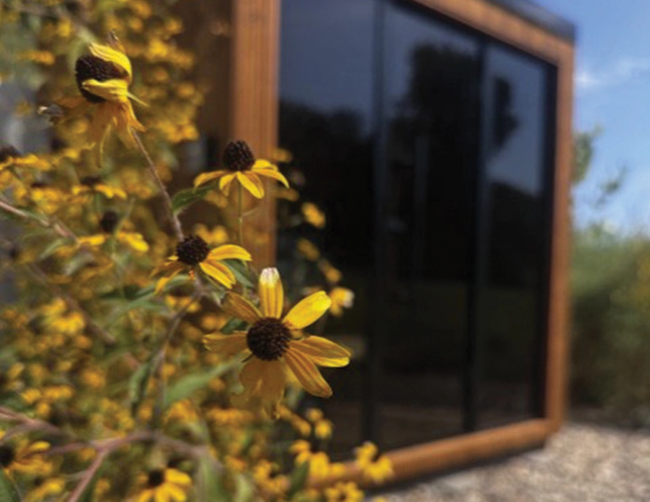 Kodiak Luik Sauna with black eyes Susans